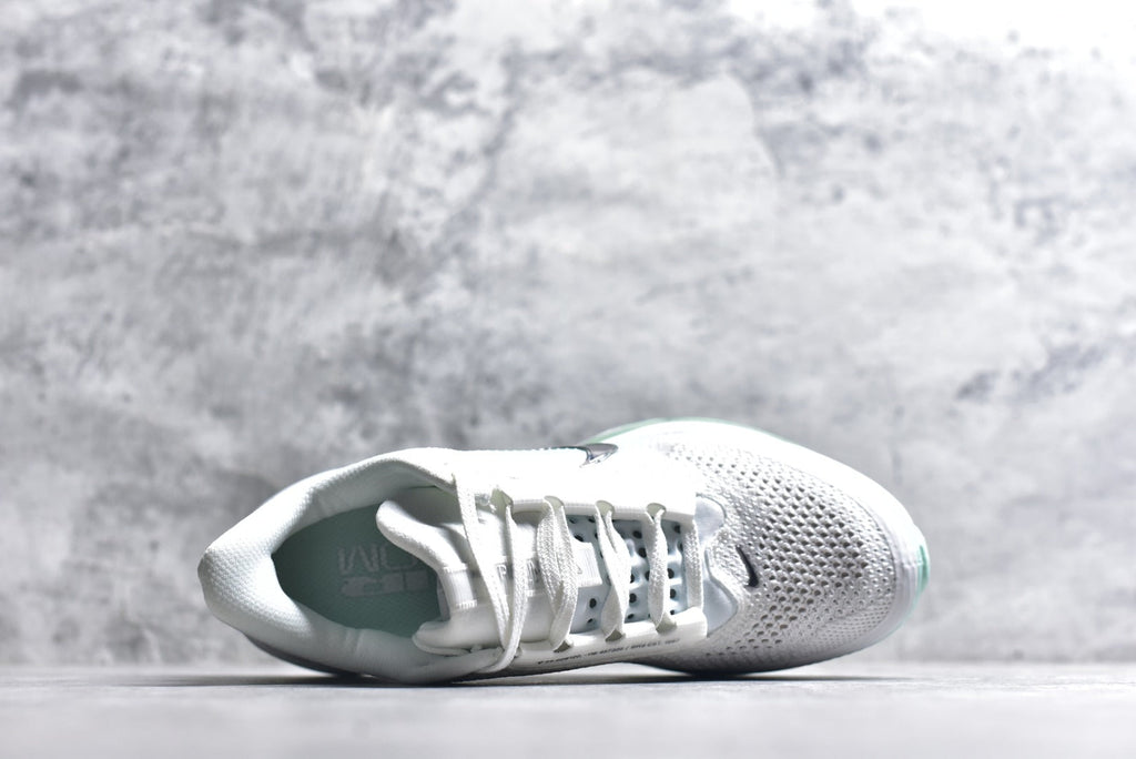 Nike Air Zoom Pegasus Premium | Air-Cushioned Running Shoe | HQ2593-103