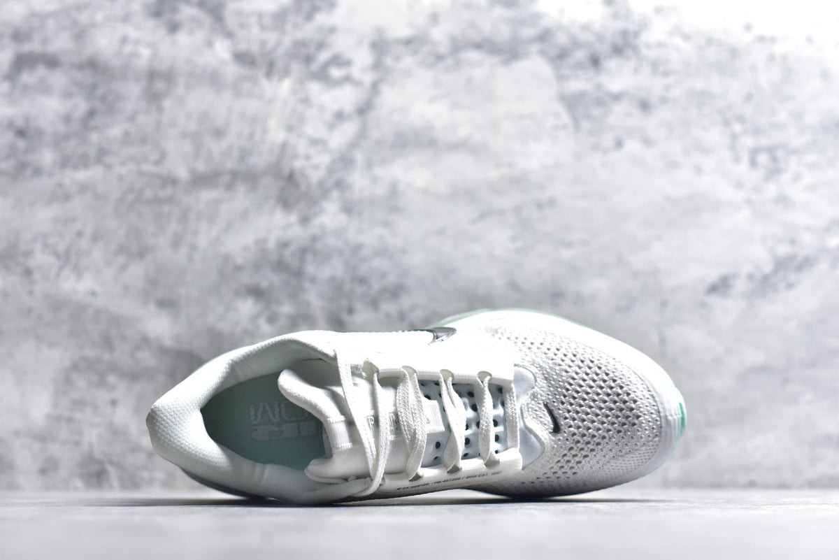 Nike Air Zoom Pegasus Premium | Air-Cushioned Running Shoe | HQ2593-103